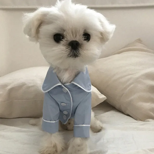 Luxury Clothes for Dog Fashion